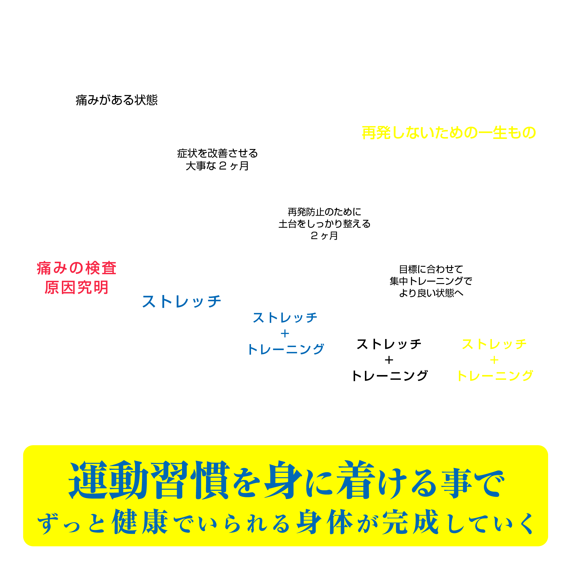 運動習慣を身に着け、ずっと健康でいられる身体が完成していく